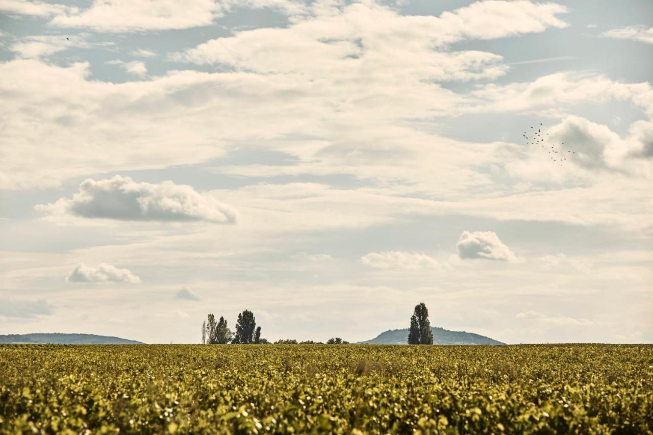 Como Le Montrachet Puligny-Montrachet Exterior photo