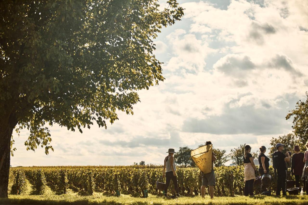 Como Le Montrachet Puligny-Montrachet Exterior photo