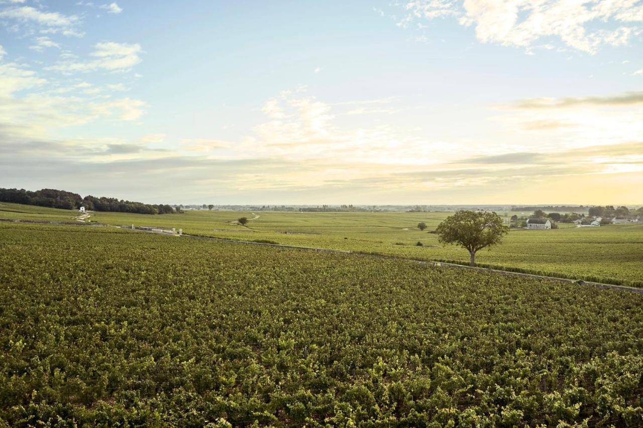 Como Le Montrachet Puligny-Montrachet Exterior photo