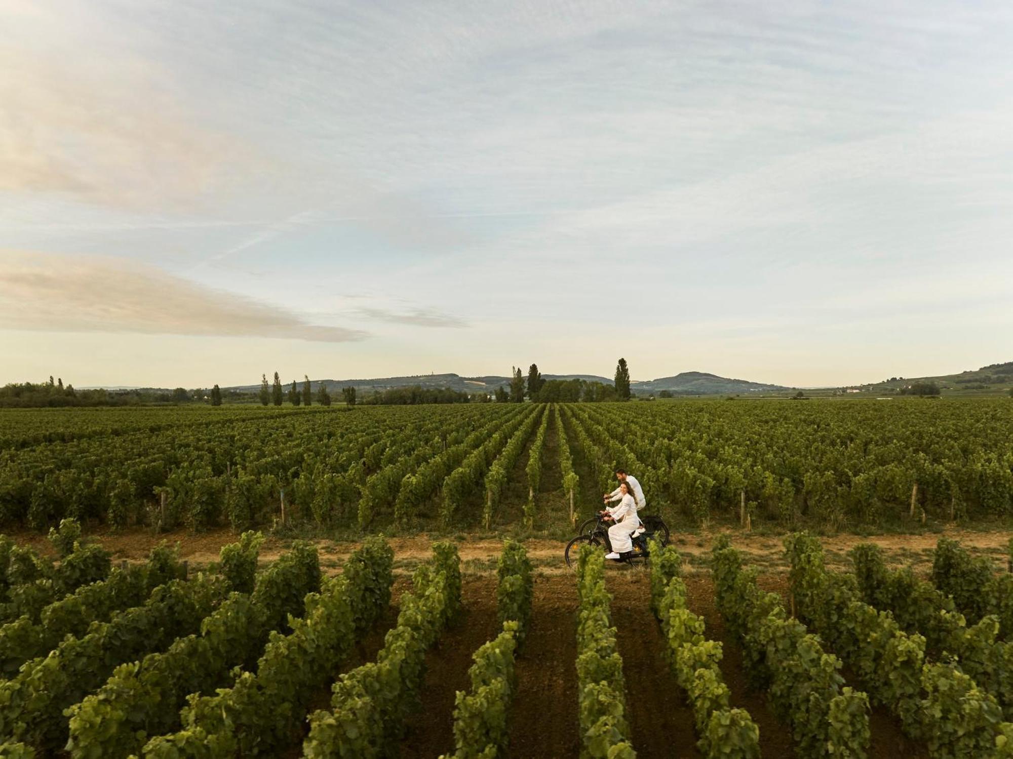 Como Le Montrachet Puligny-Montrachet Exterior photo