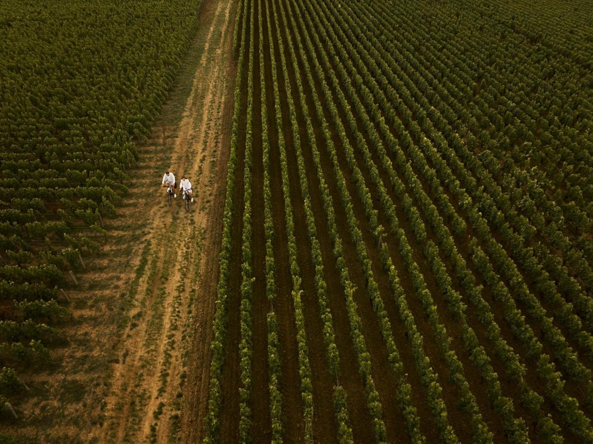 Como Le Montrachet Puligny-Montrachet Exterior photo